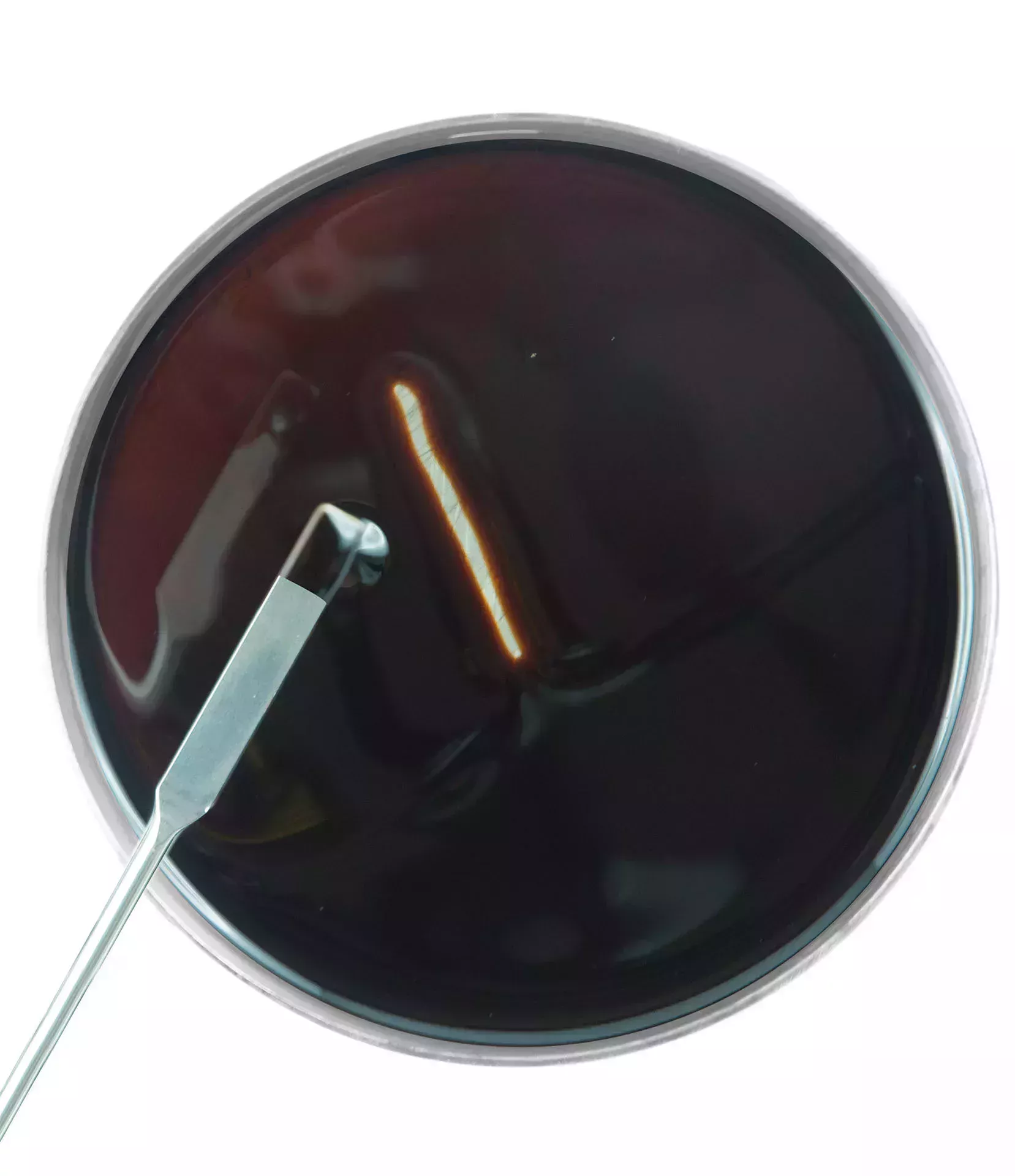 Liquid lubricating oil in a petri dish