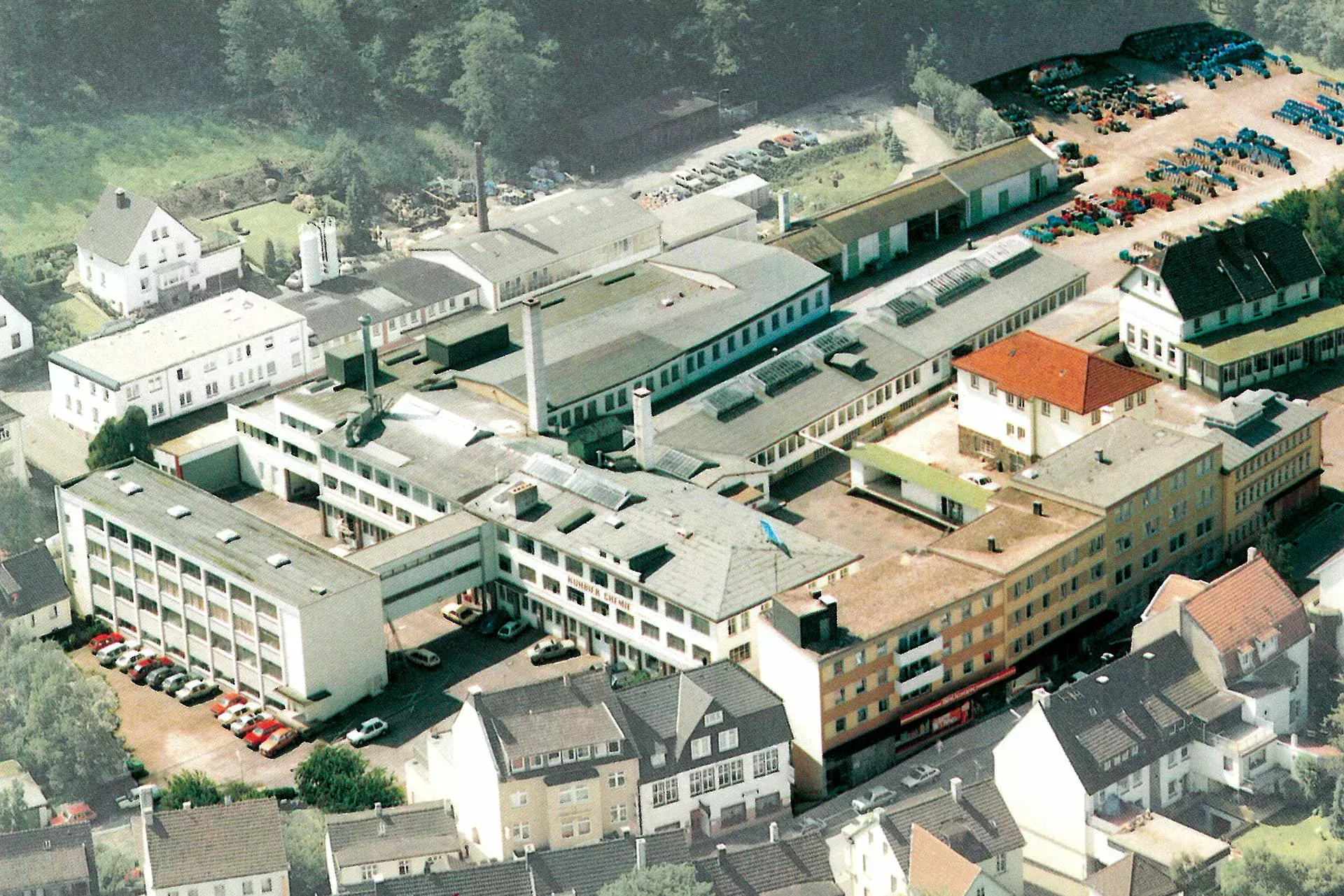 Kierspe plant from above