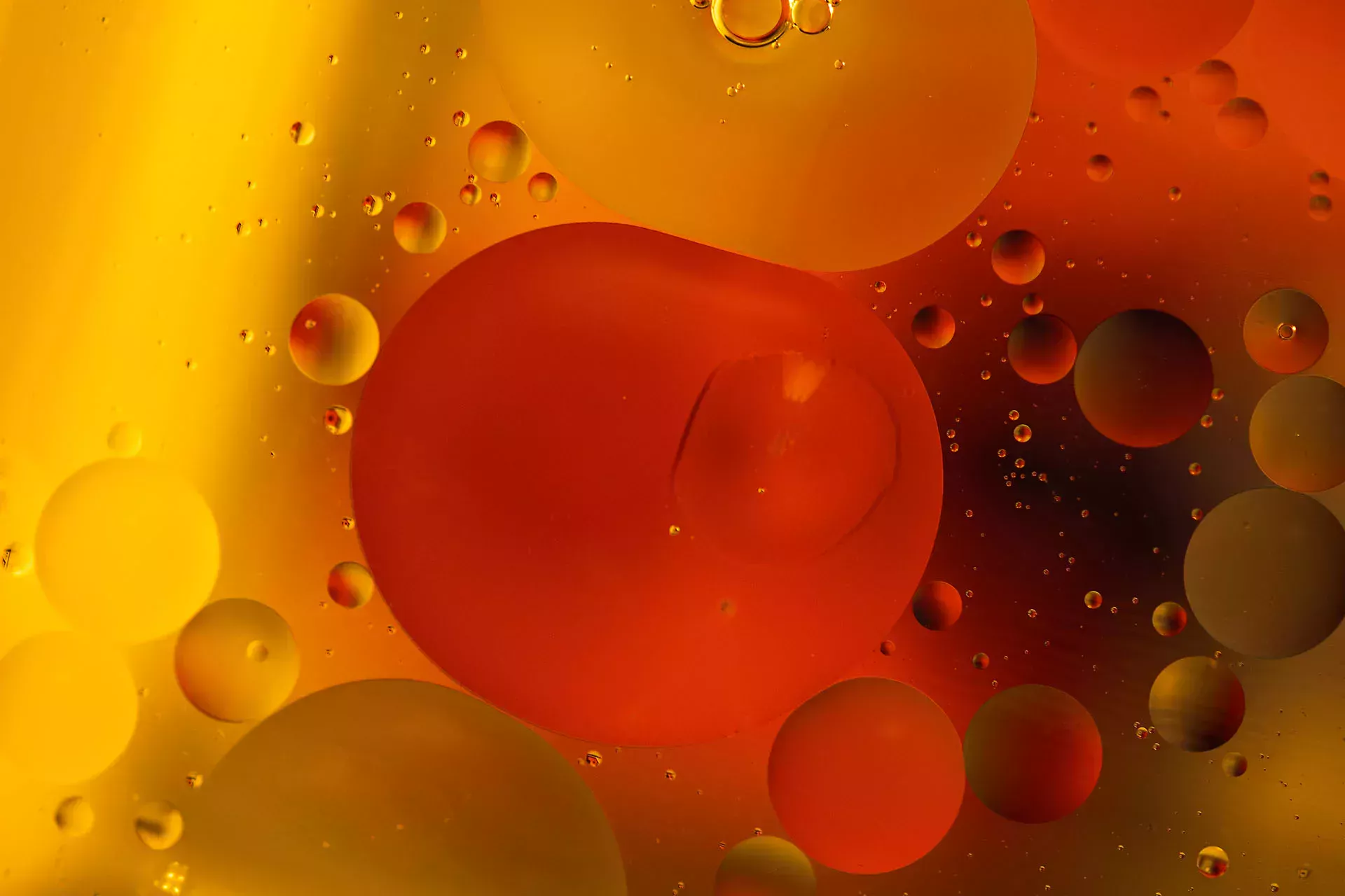 Open bonnet of a car