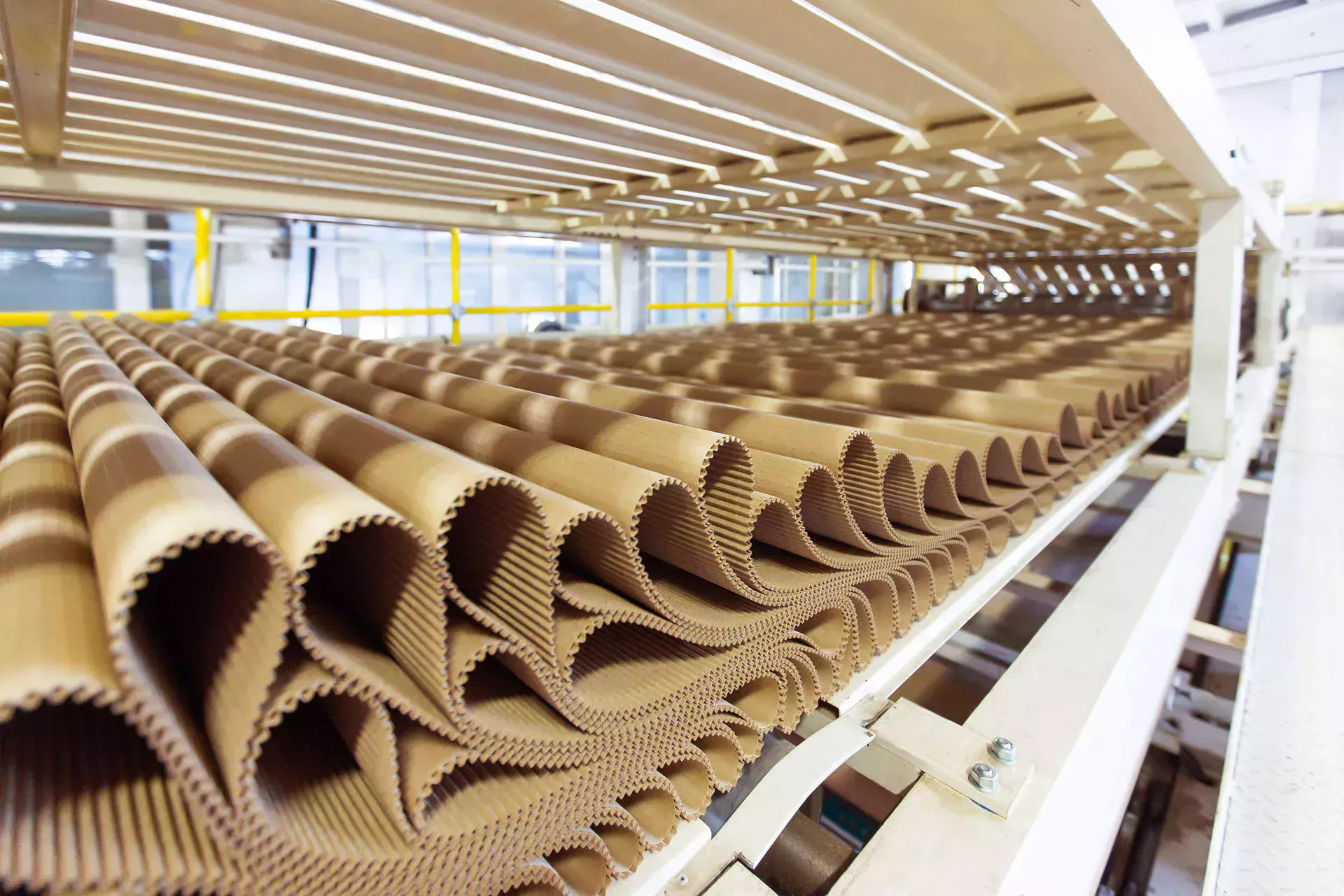 Corrugated board on a conveyor belt