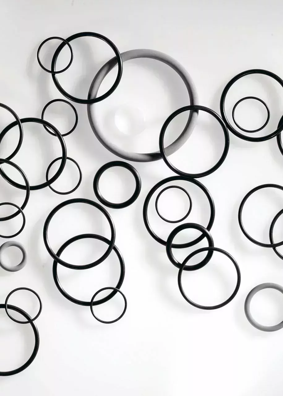 Black O-rings on a white background